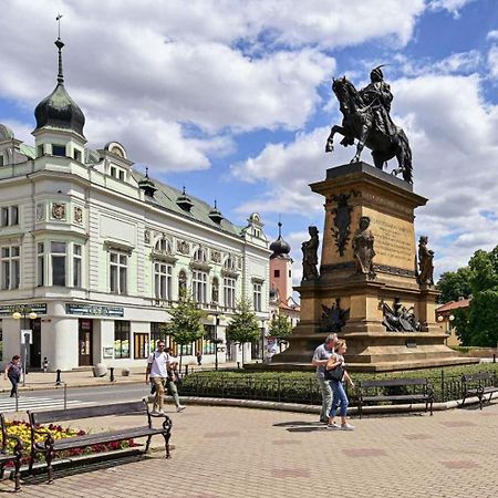 Apartment Spa And Fontain Poděbrady Dış mekan fotoğraf